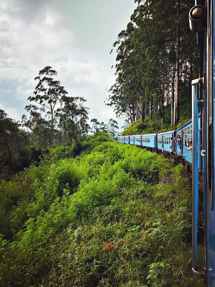 Best train journey ever!