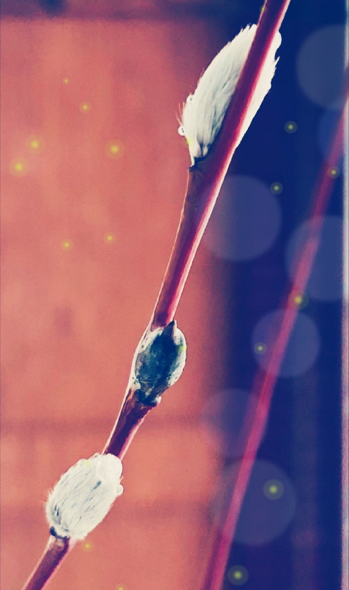 When the warm season comes)