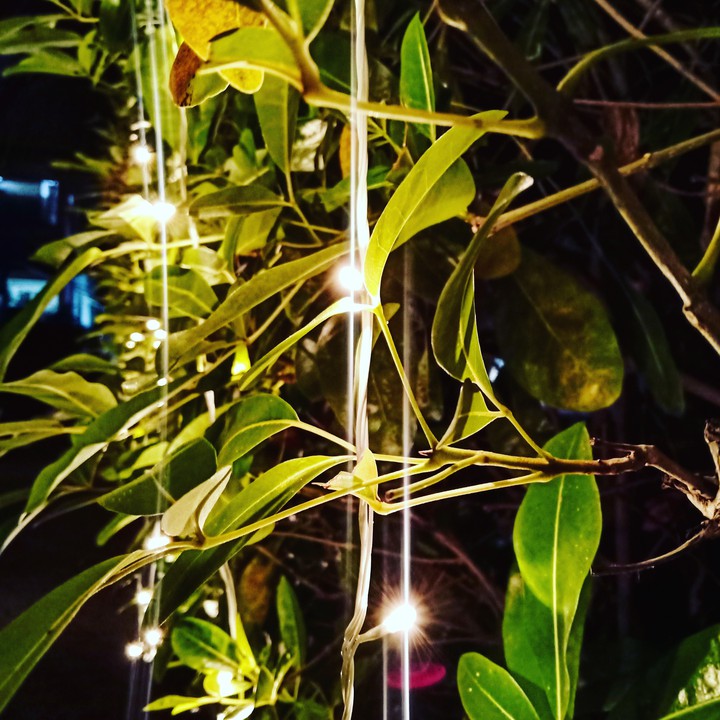 Lights and day