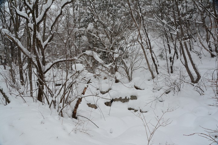 태백산이미지