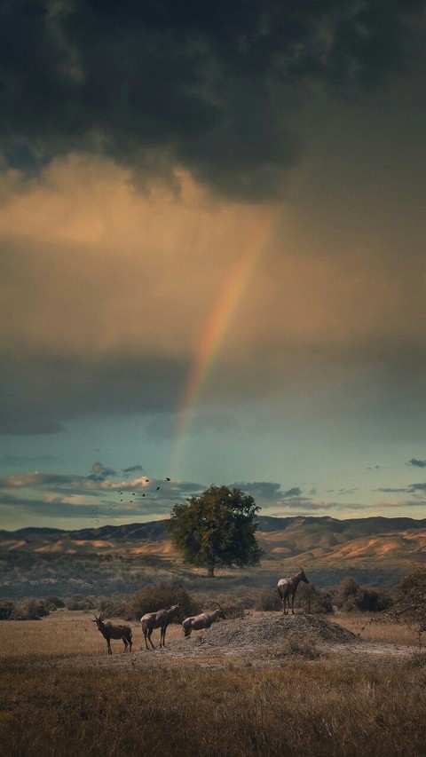 cloud, landscape wallpapers
