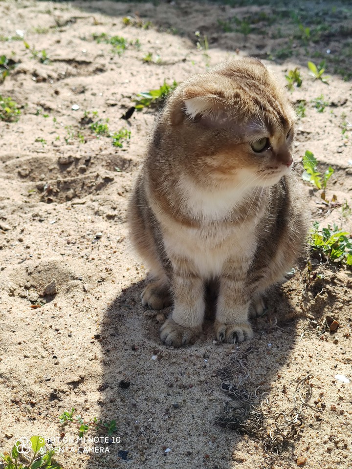 китькп