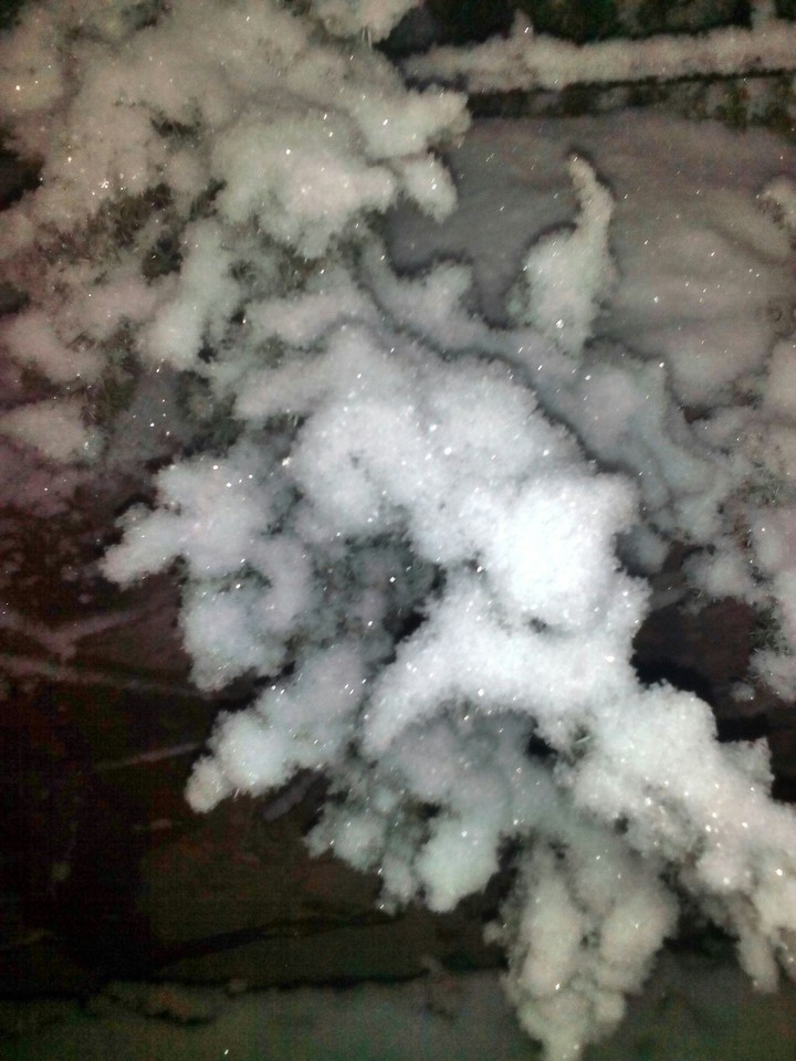 winter
