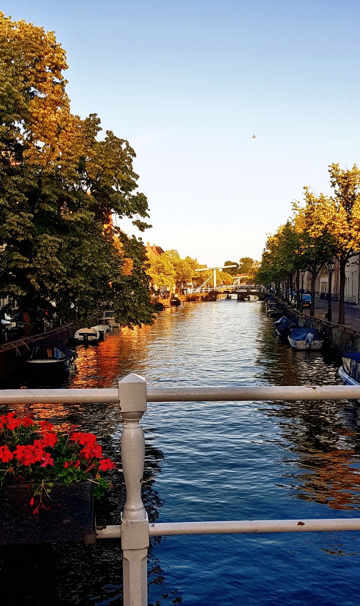 Alkmaar in Summer