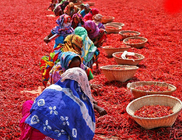 Woman's Working On Field Chili
