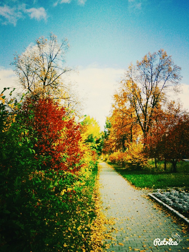осень