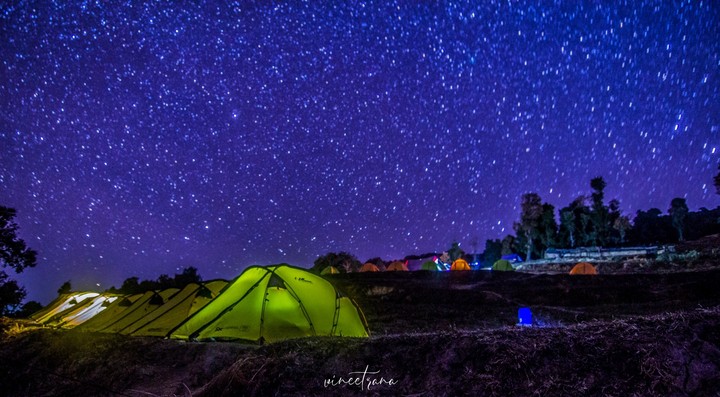 Stary Night