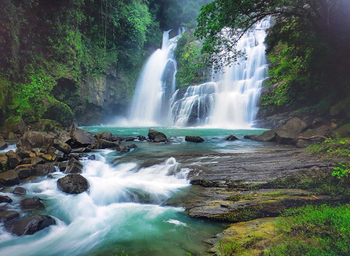 nature