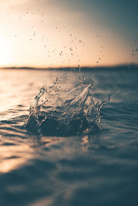 ocean