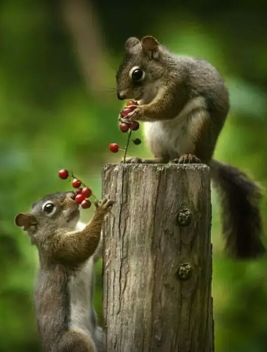 frndship