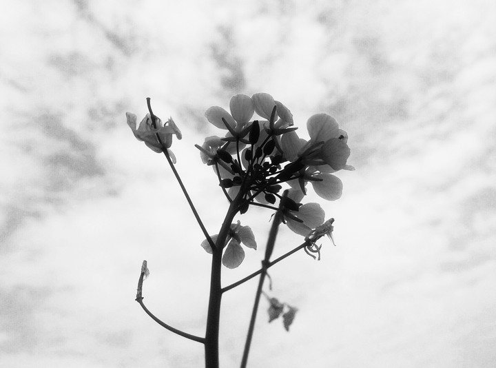 Gloomy sky