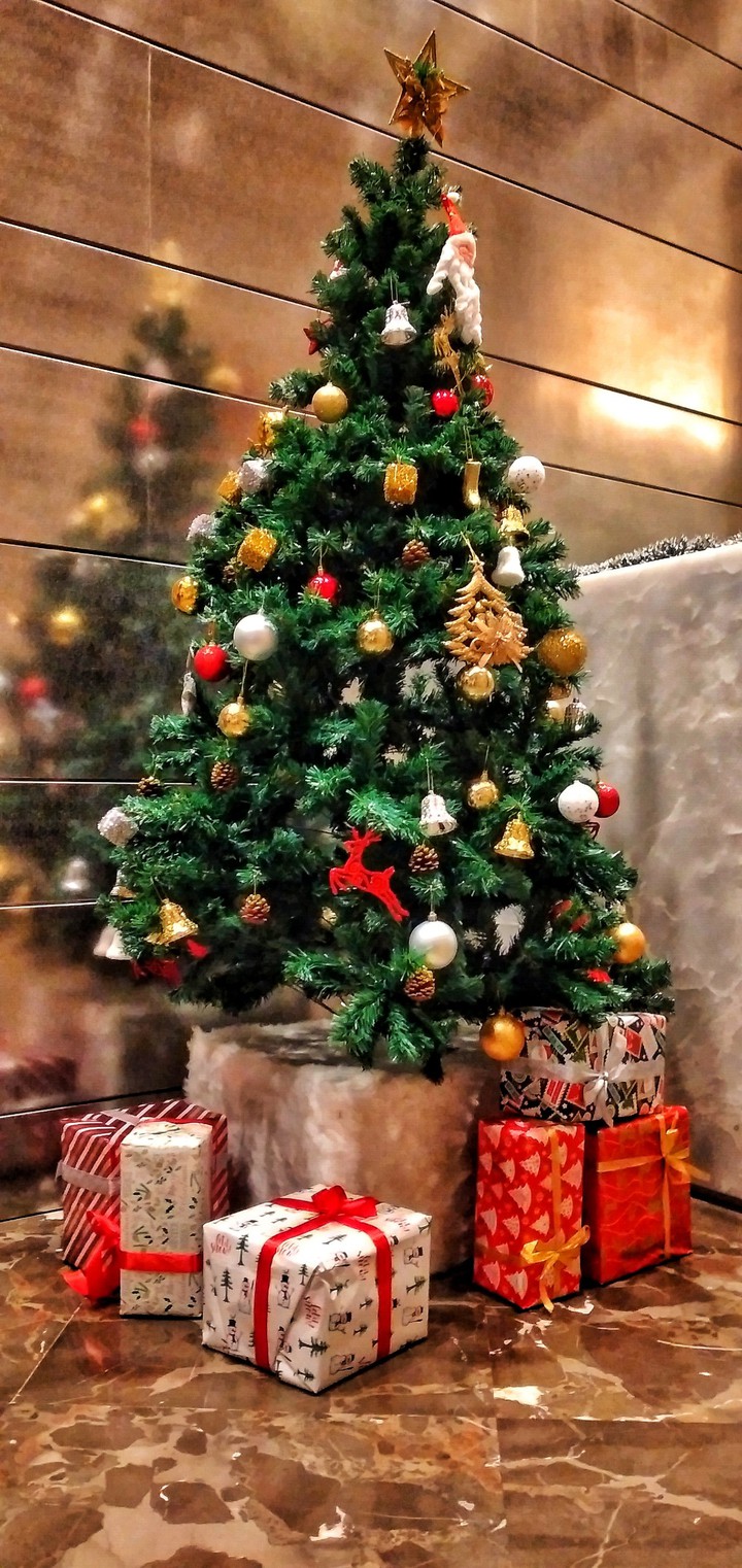 christmas tree