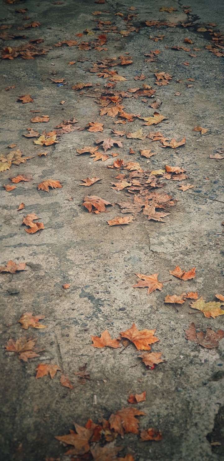 Winter