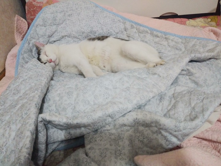 ㅇ