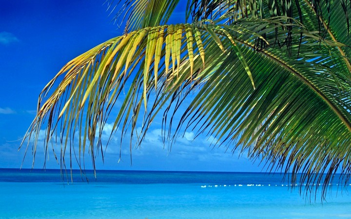 Holidays