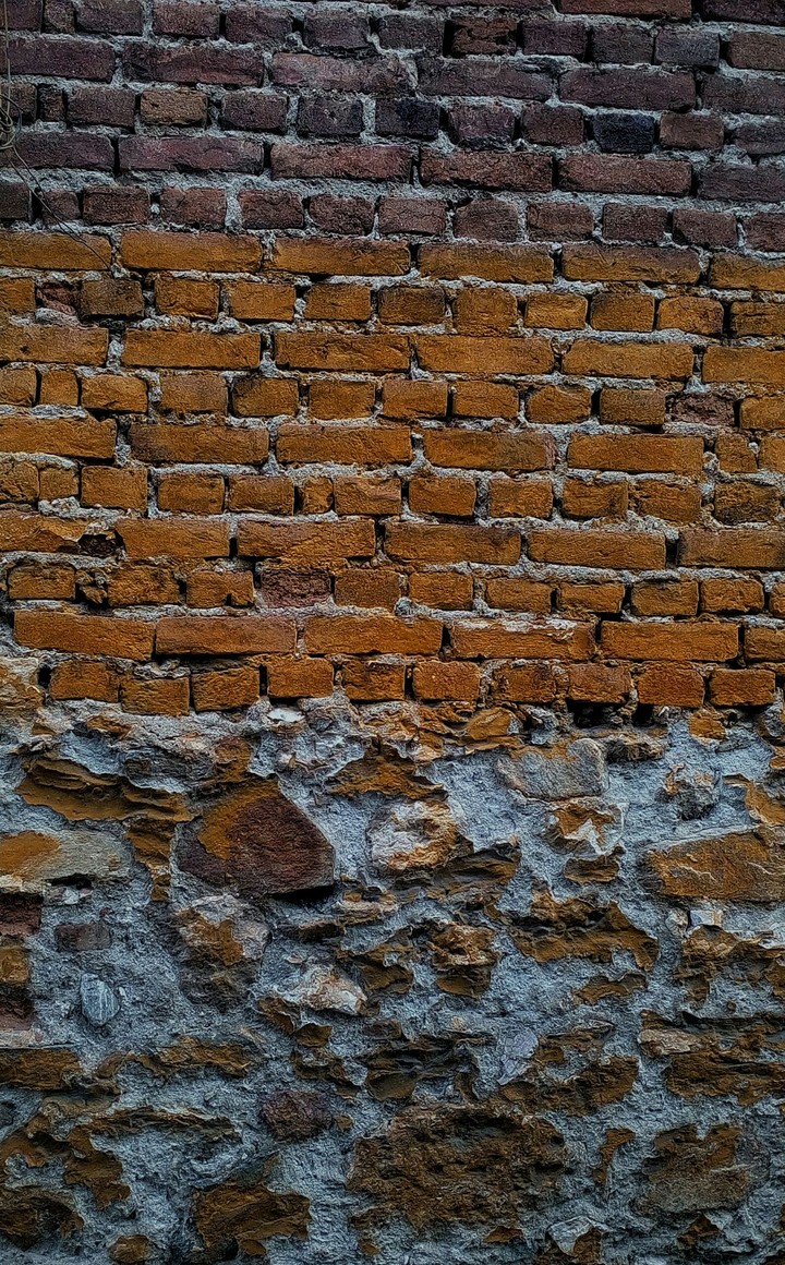 duvar