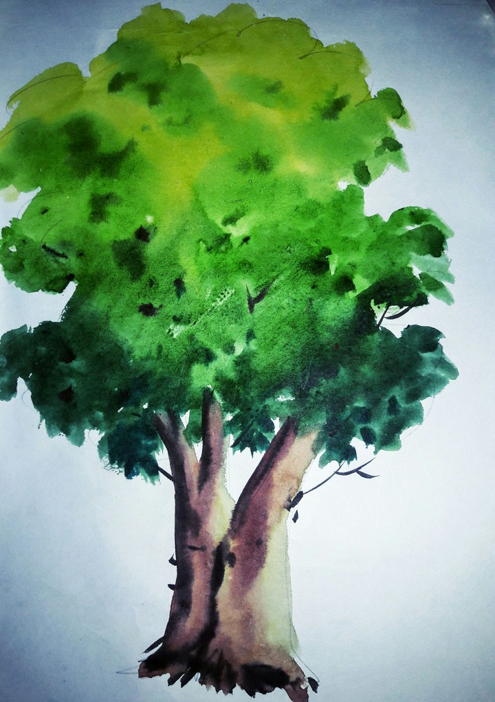 tree