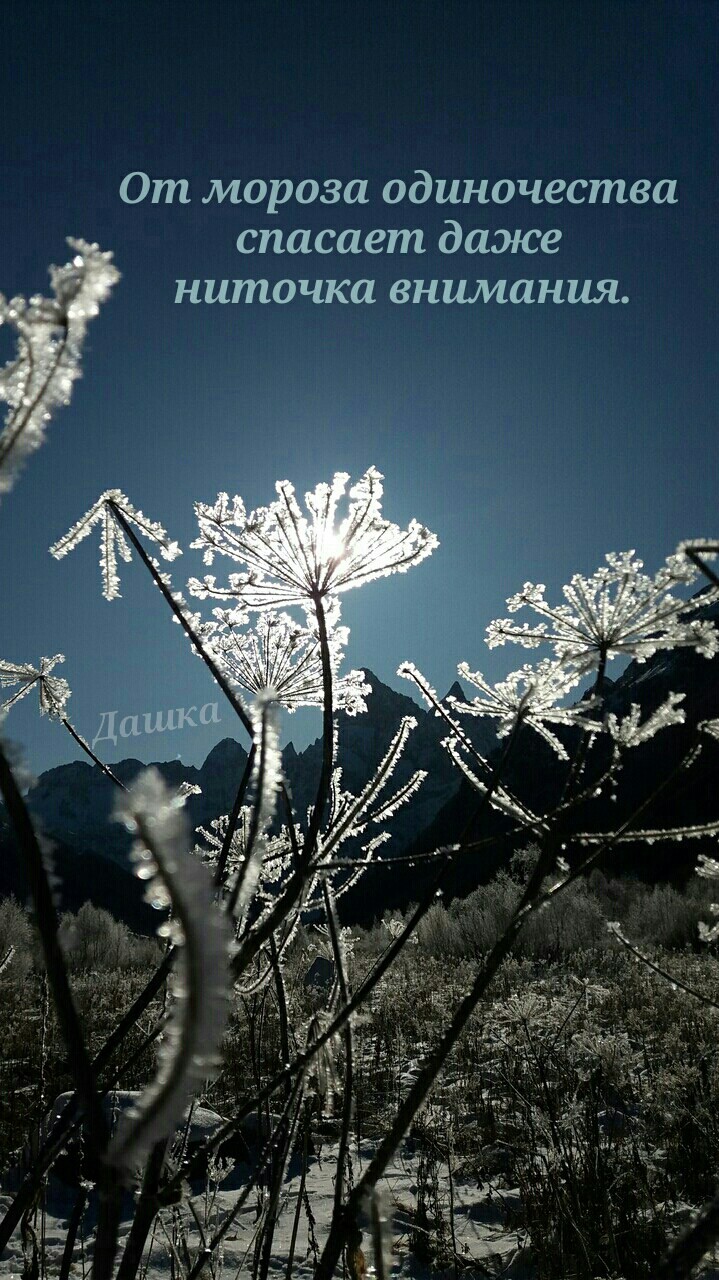 зuмнuе одуванчuкu