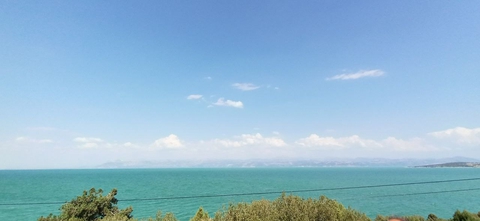 sfondi landscapes, plant