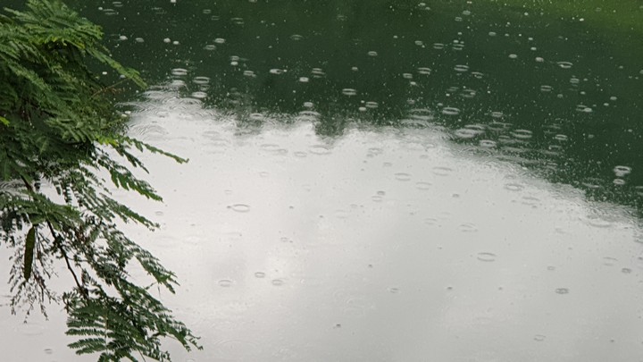 Let It Rain