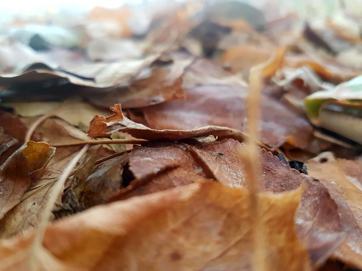 #autumn #winter