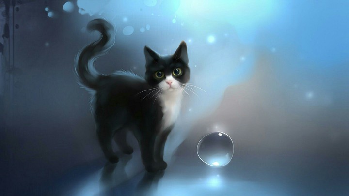cat