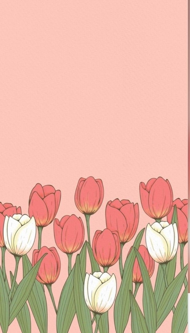 tulip abstract