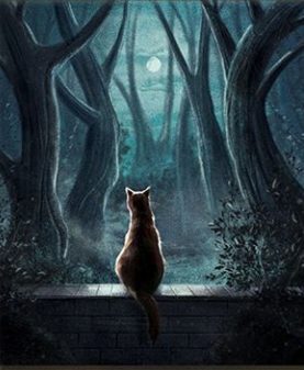 Warrior cats