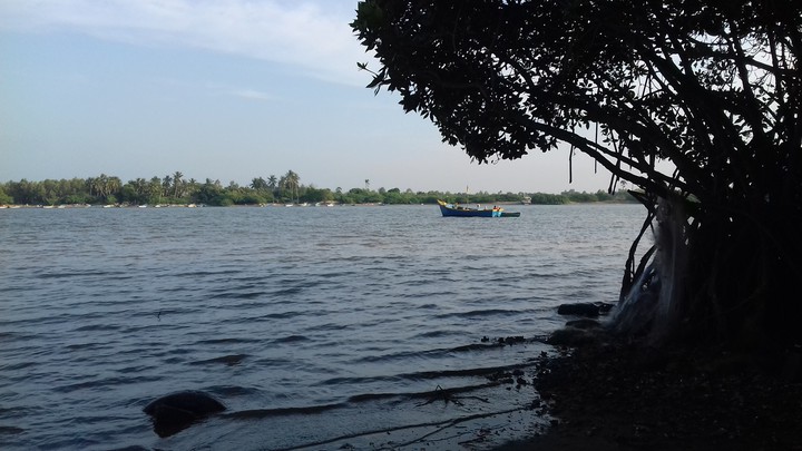 backwater