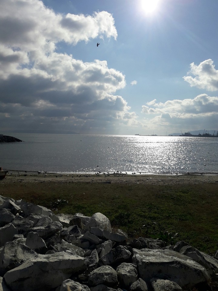 sea and sun
