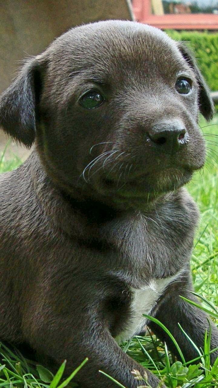 So süß ♥️♥️♥️♥️