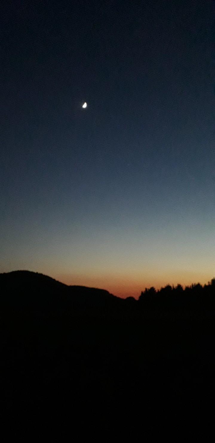 Night
