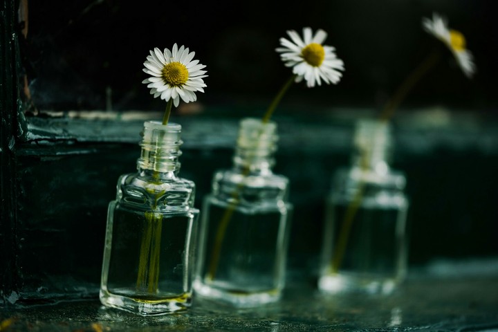 bottles
