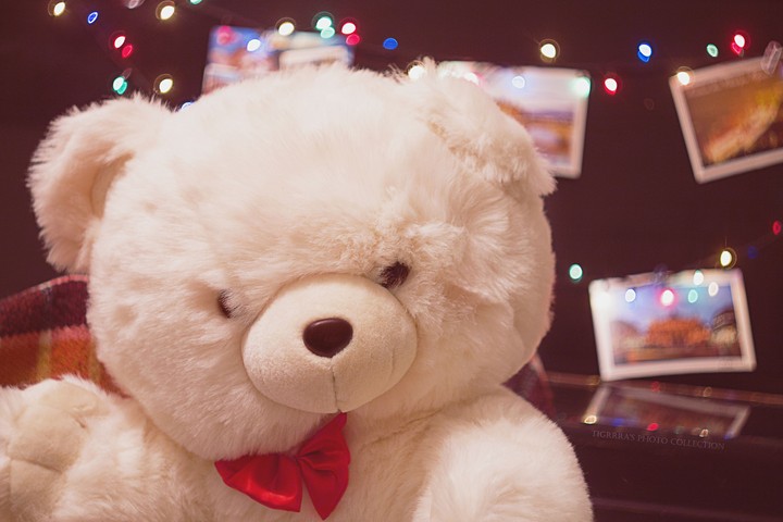 teddy bear