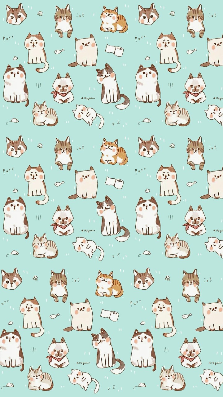 Котики