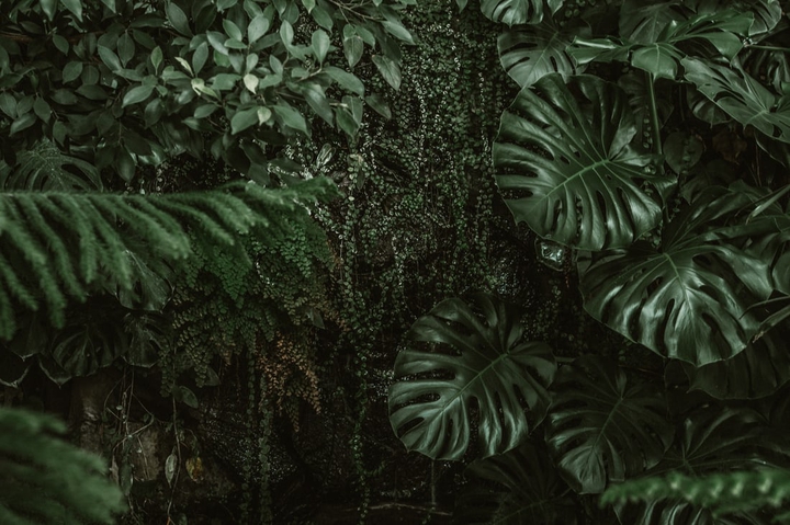 greenery