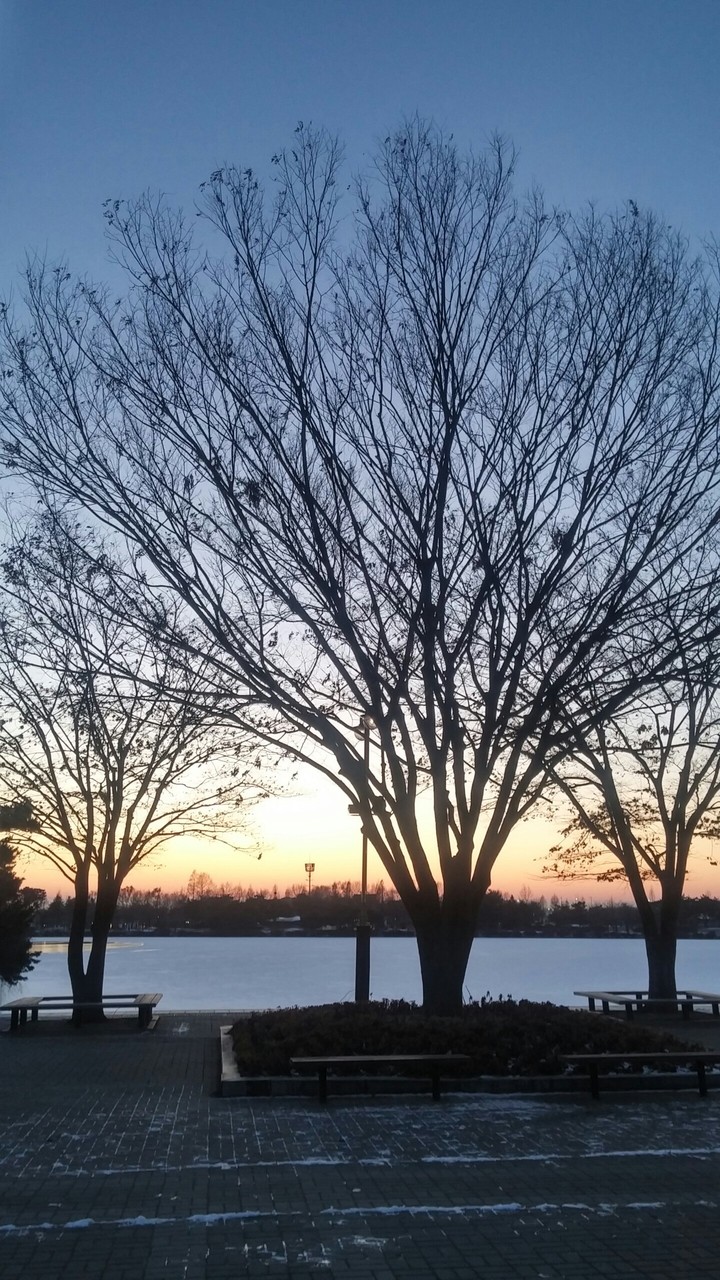 lake park