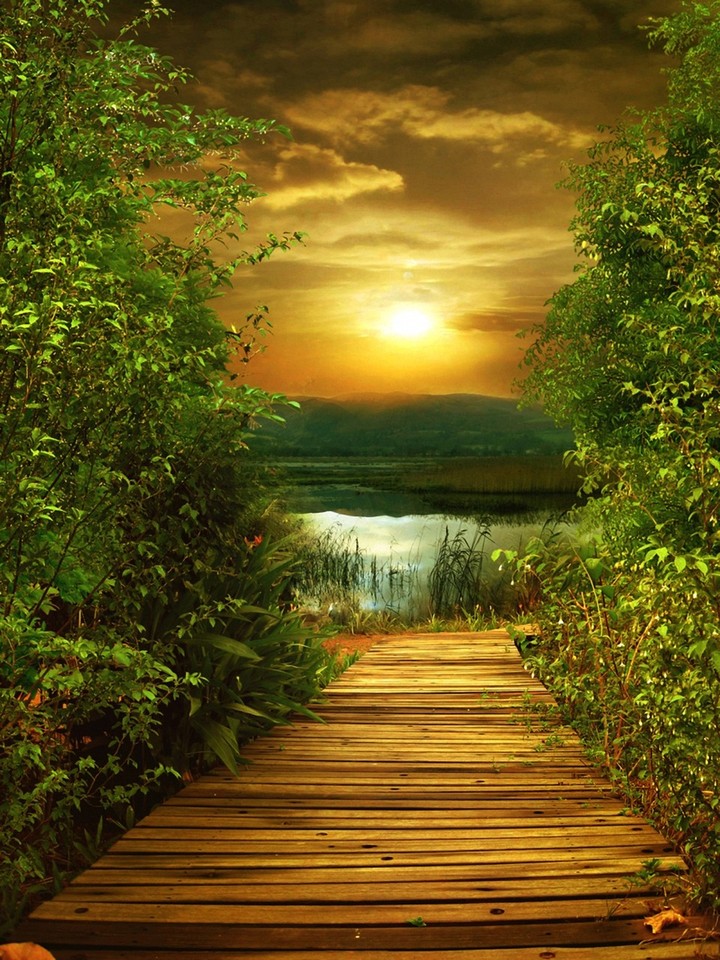 nature