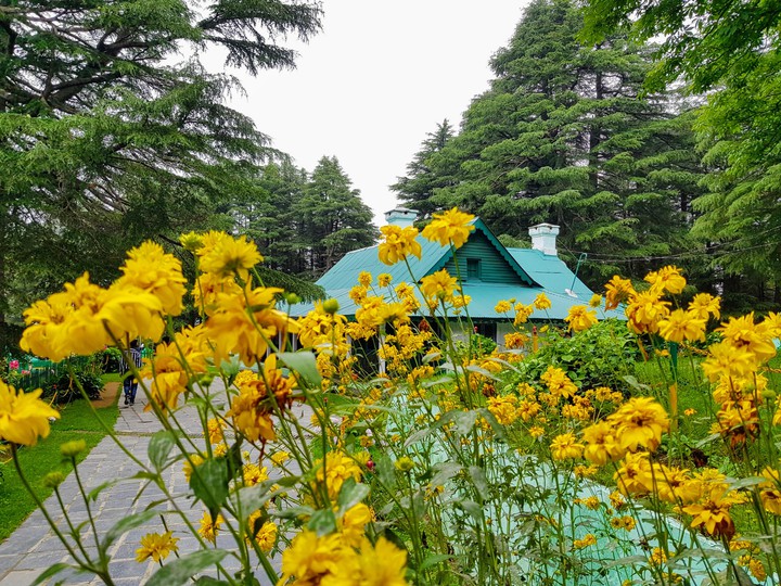 i clicked it in khajjiar