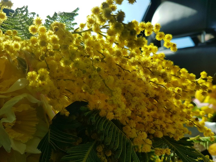 flowers