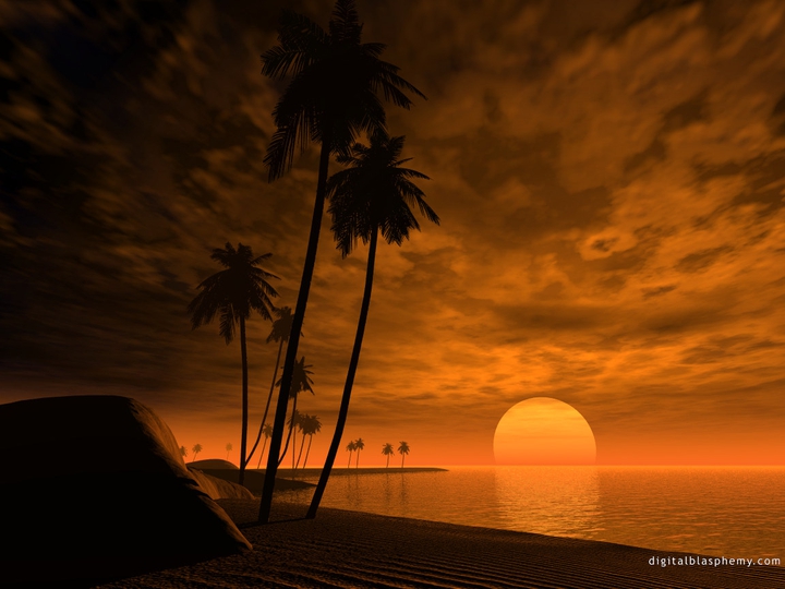 sunset