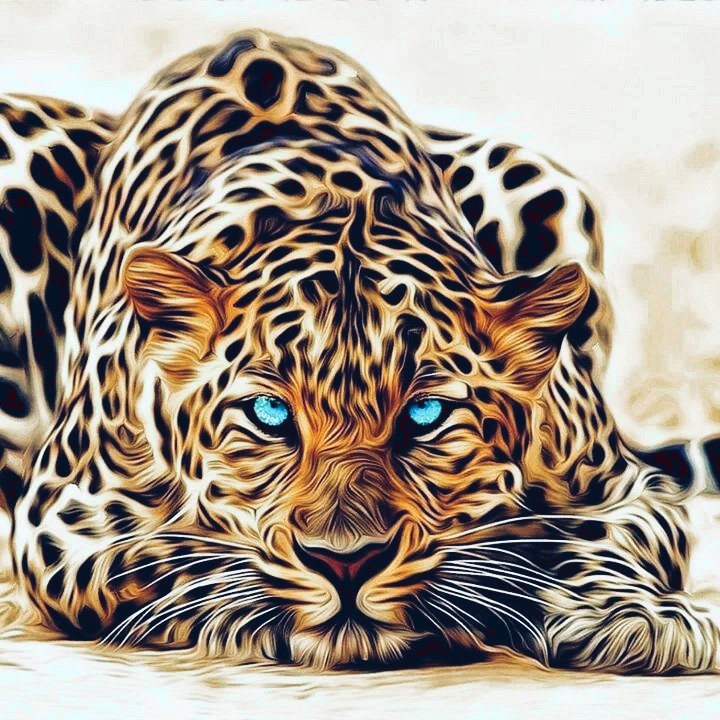 wild