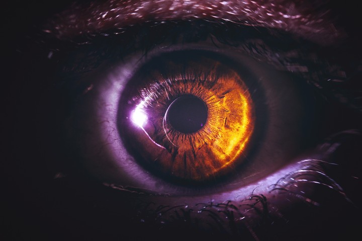eye