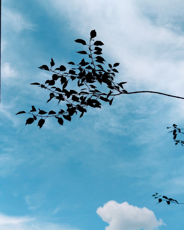 Skyline