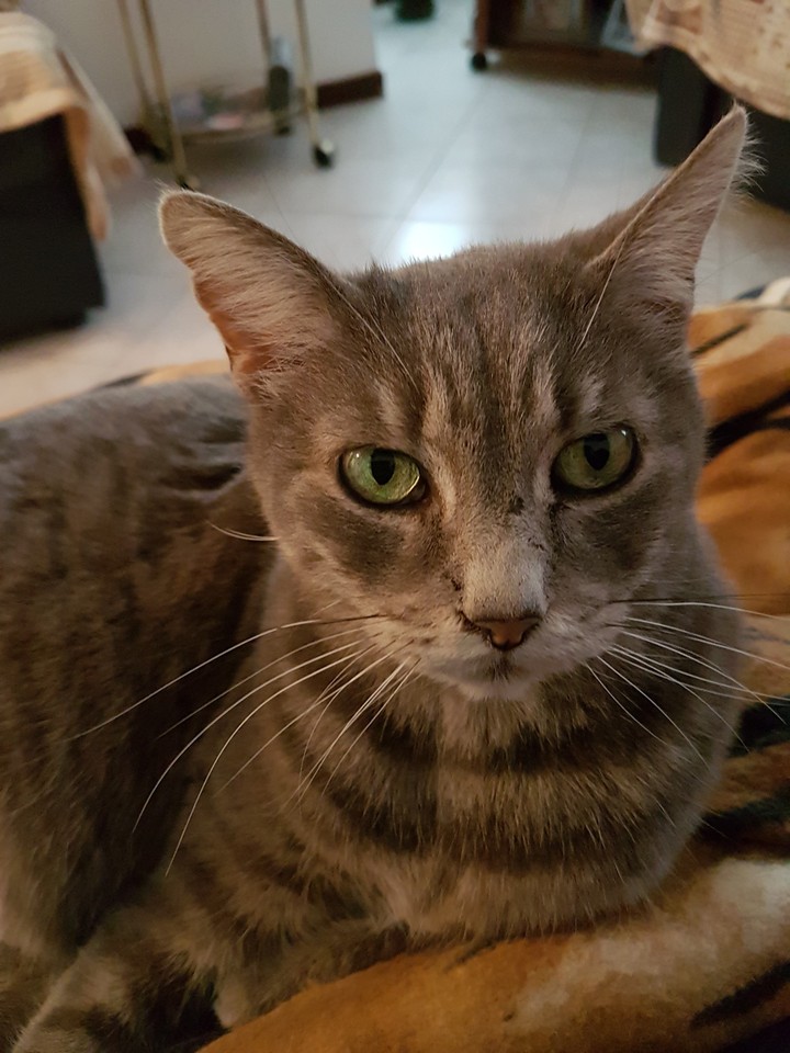 nella