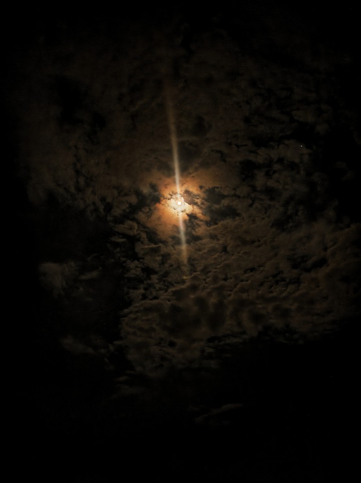 Moon Light