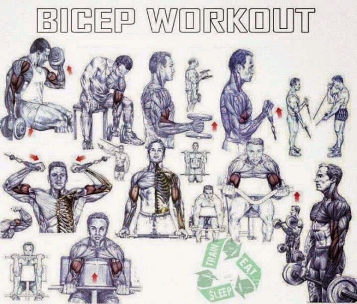 workout