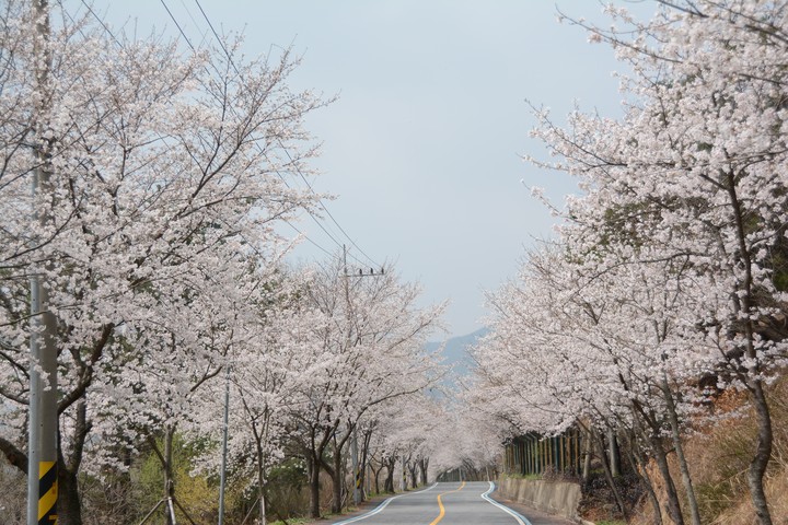 풍경이미지