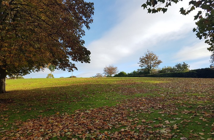 Dublin Parks