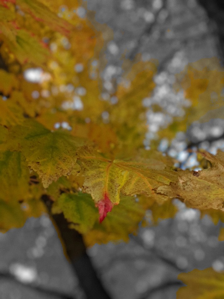 Its Fall Baby